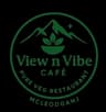 View N Vibe Logo