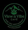 View N Vibe Logo