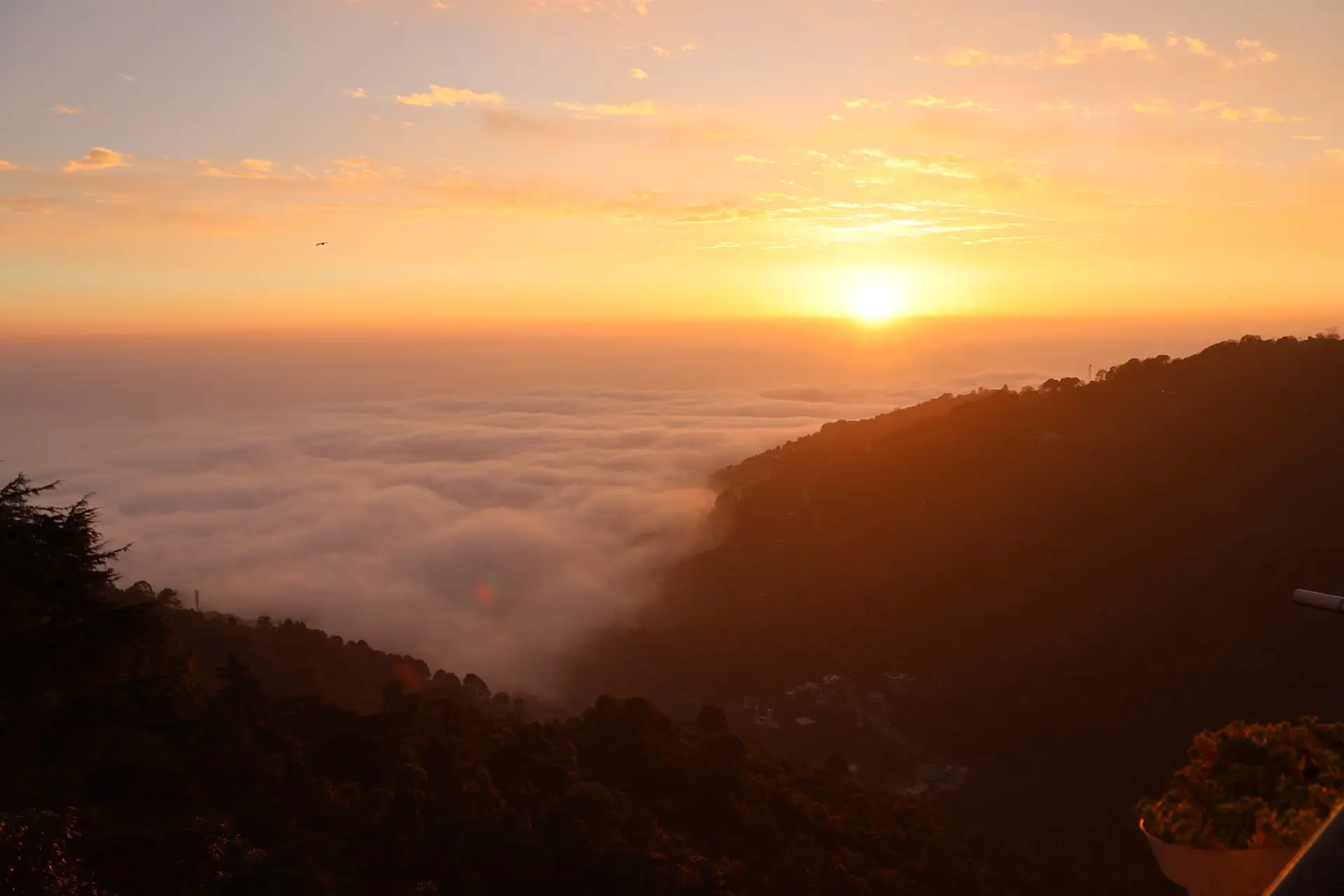 View N Vibe moment 11