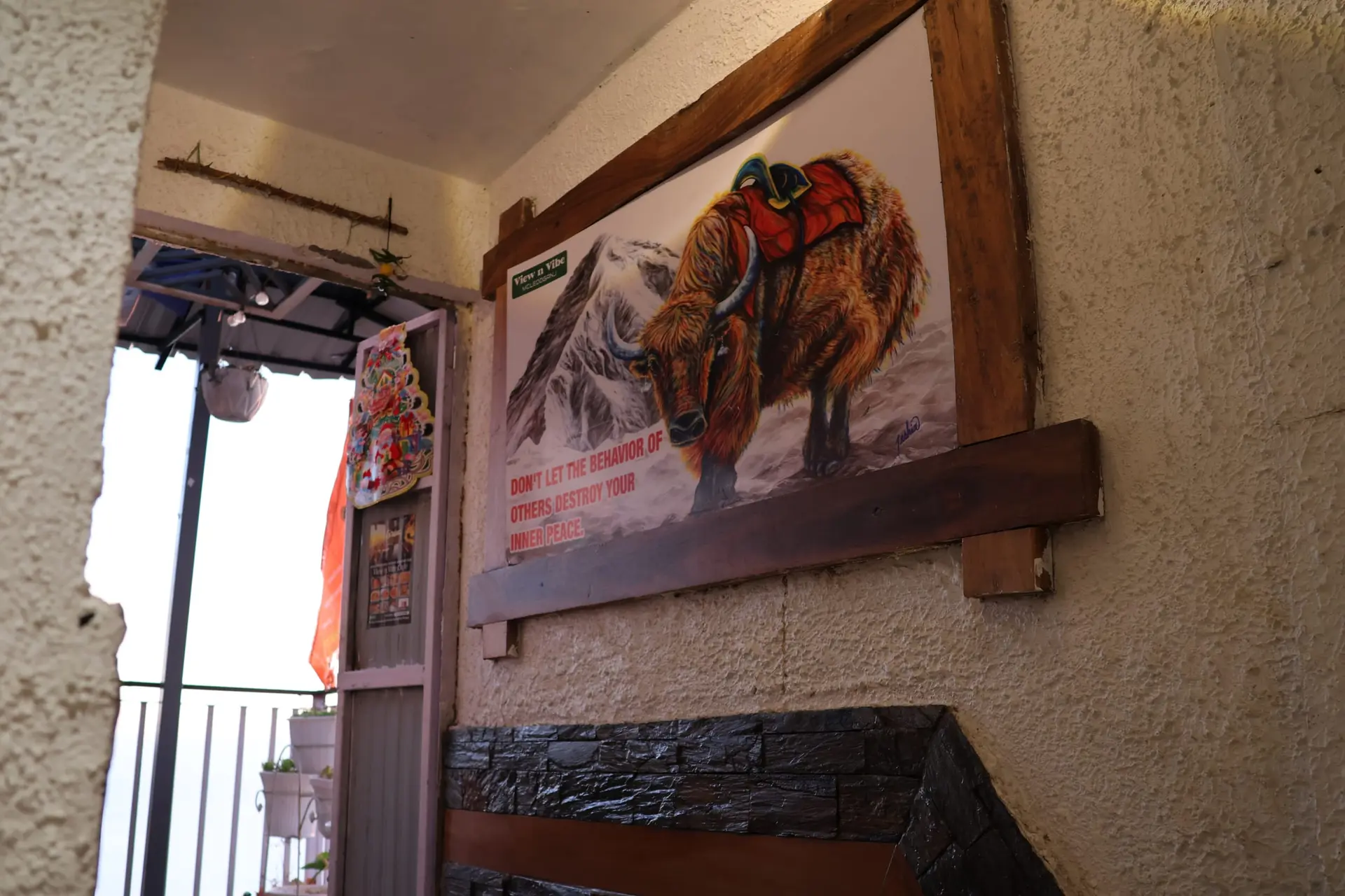 View N Vibe moment 15